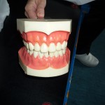dentista1